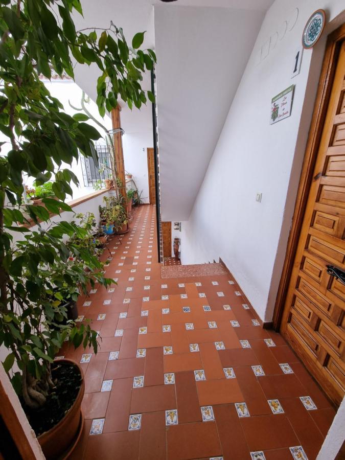 Apartamento Entre Patios San Basilio Apartment Cordoba Ngoại thất bức ảnh